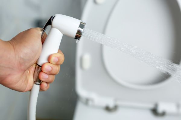 Cost of Bidet Installation in Largo