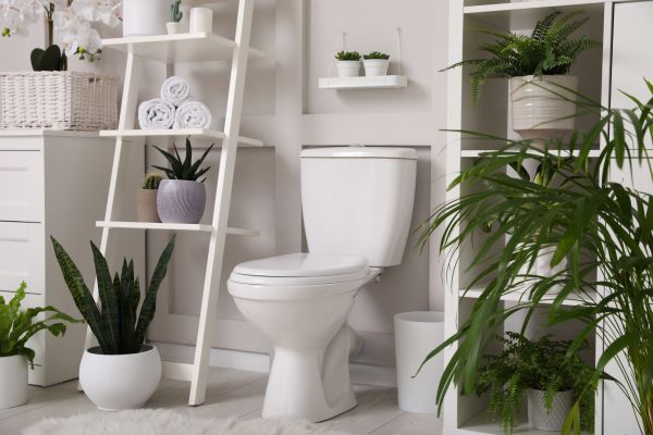 Cost of Toilet Repair in Largo