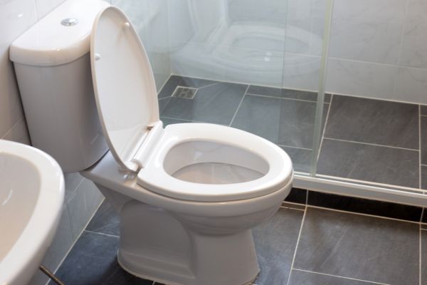 Cost of Toilet Replacement in Largo