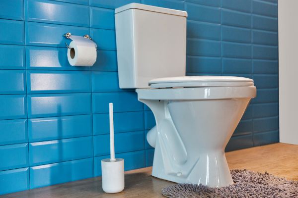 Cost of Toilet Tank Repair in Largo